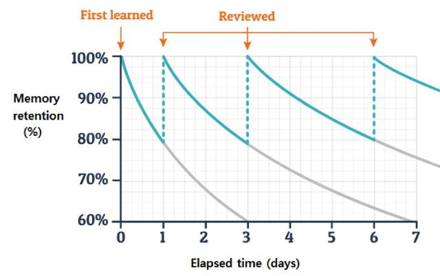 Understanding How Children Learn