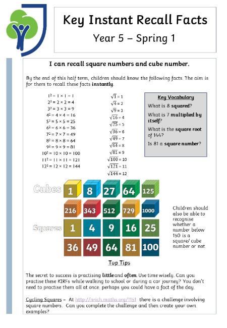 <p>Year 5 Spring 1</p>